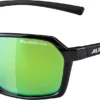 Alpina Finety P Adults' Sunglasses