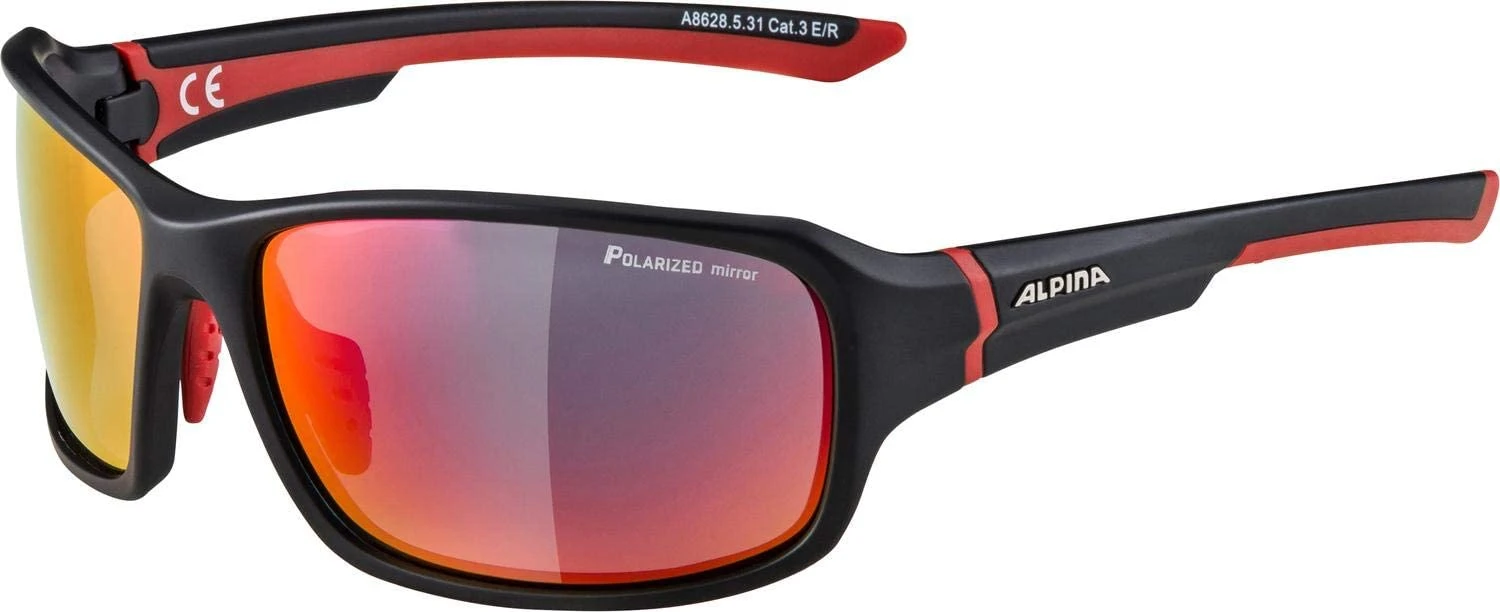 Alpina Lyron P Sports Glasses 1 Alpina Lyron P Sports Glasses