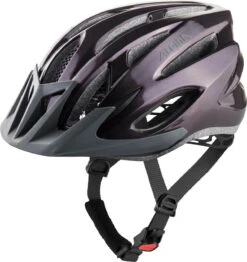 Alpina MTB 17 Helmet