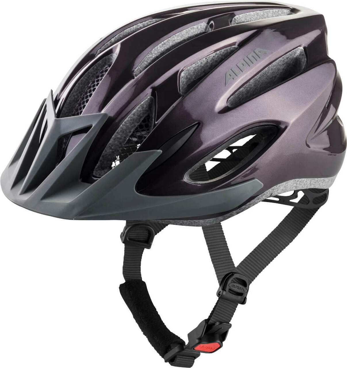 Alpina MTB 17 Helmet 1 Alpina MTB 17 Helmet