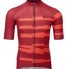 Chapeau! Mens Club Jersey Pattern - Burnt Sienna