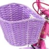 Raleigh Molli Kids Bike Basket