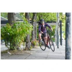 Ridgeback Electron+ (Electron Plus) Utility Electric Bike - Red E-Bike 8 Ridgeback Electron+ (Electron Plus) Utility Electric Bike - Red E-Bike -Bicycle Equipment Store ridgeback electron electron plus utility electric bike red e bike 224377